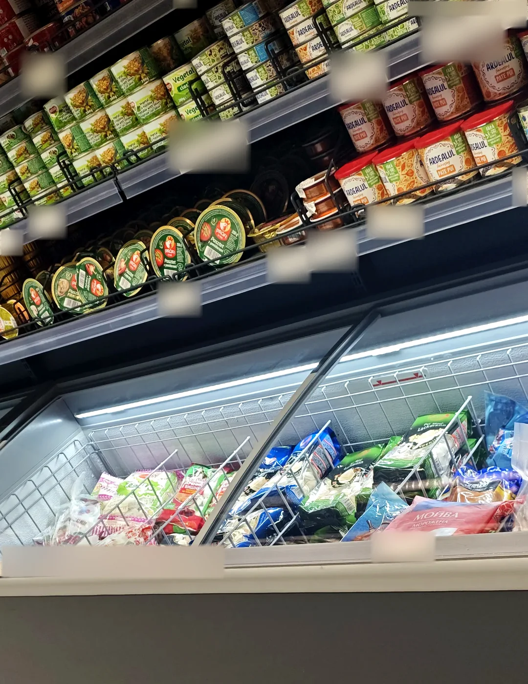 Il congelatore dei surgelati — Milart Market